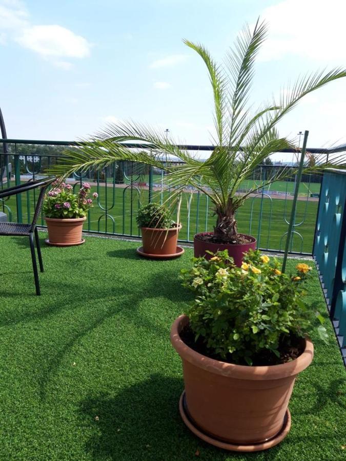 Hotel Zum Sportforum Blankenburg  Eksteriør billede